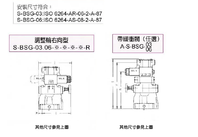 S-BSG-06-V-3C2-A110-N1-L-51